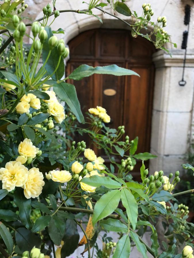 Muller'S Bed & Breakfast Bargemon ภายนอก รูปภาพ